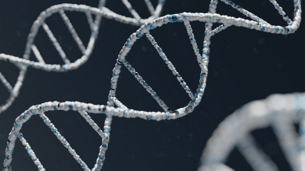 a strand of DNA up close