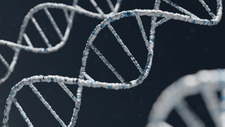 Genetic factors varicose veins